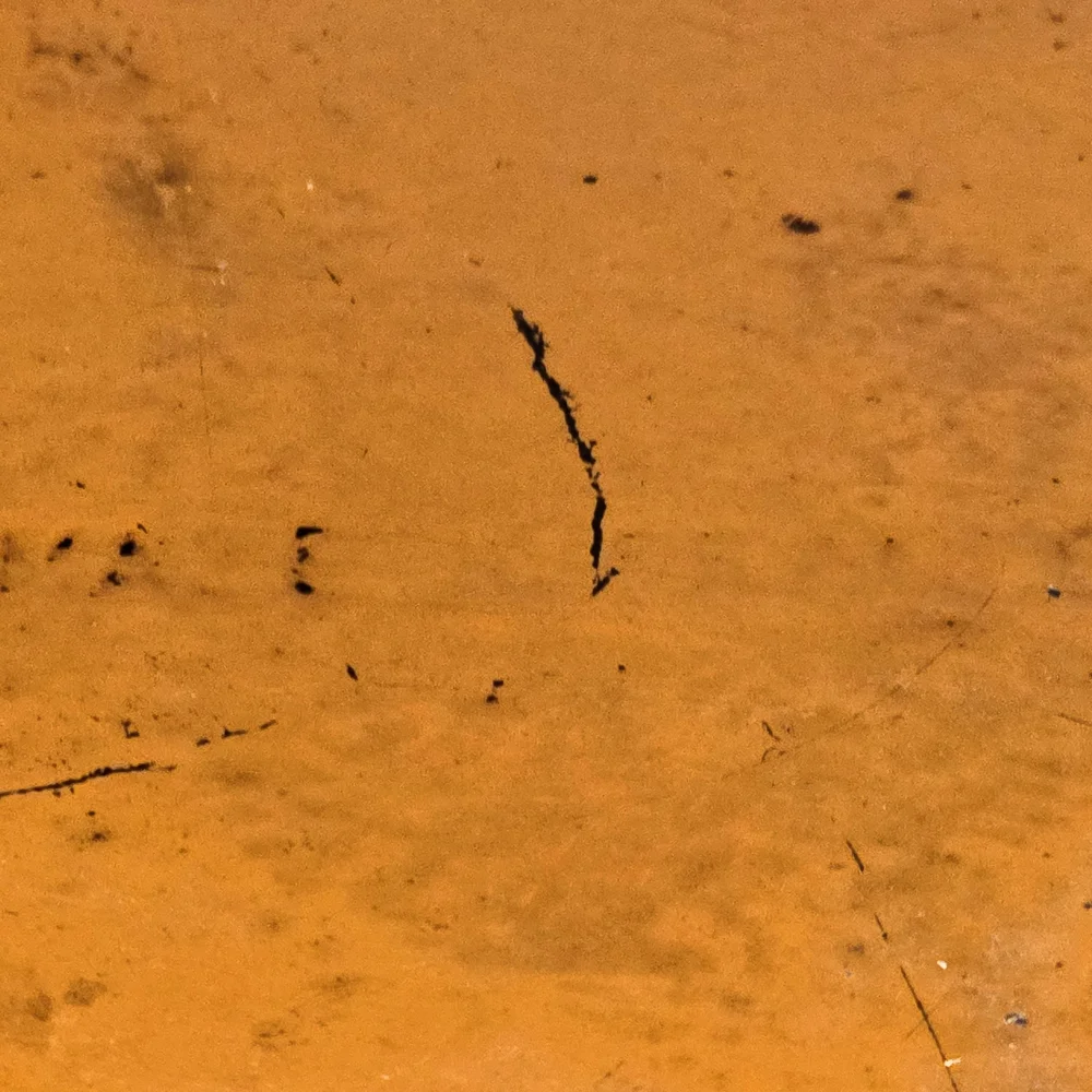 Le Creuset 29cm Flame Oval Dutch Oven - Picture 11 of 12